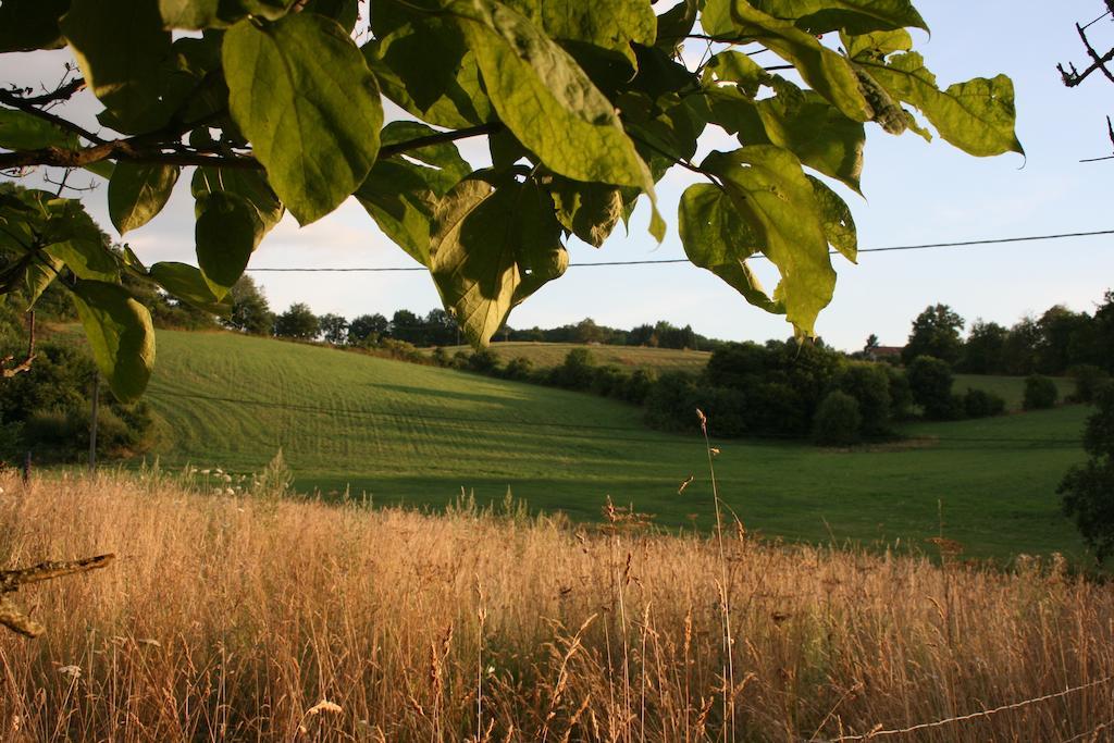 Domaine De Romefort Saint-Léonard-de-Noblat Oda fotoğraf