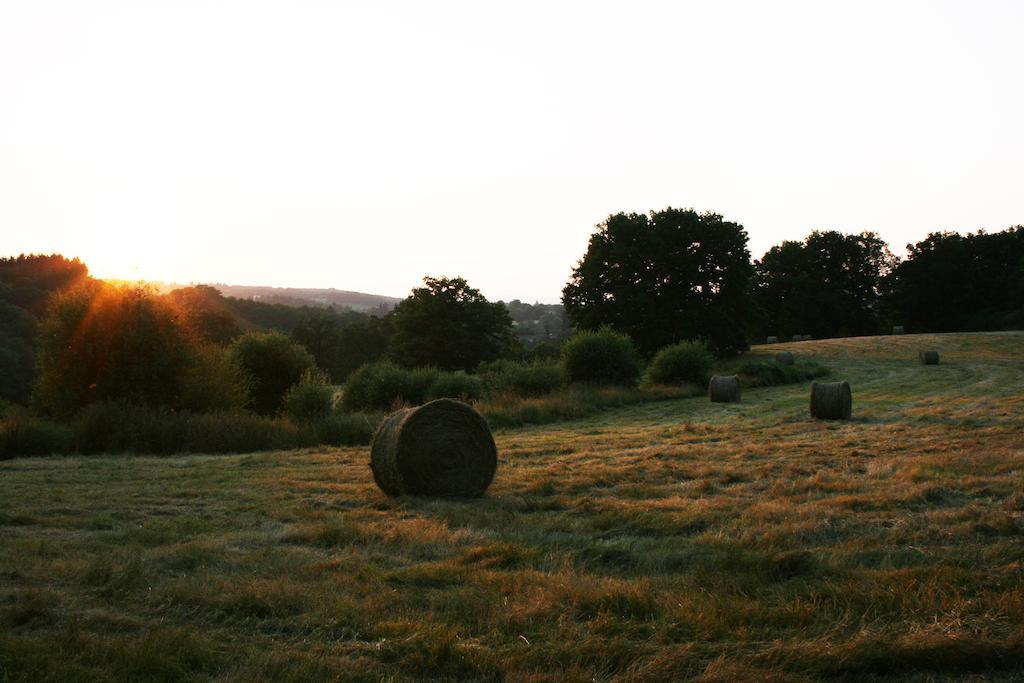 Domaine De Romefort Saint-Léonard-de-Noblat Oda fotoğraf
